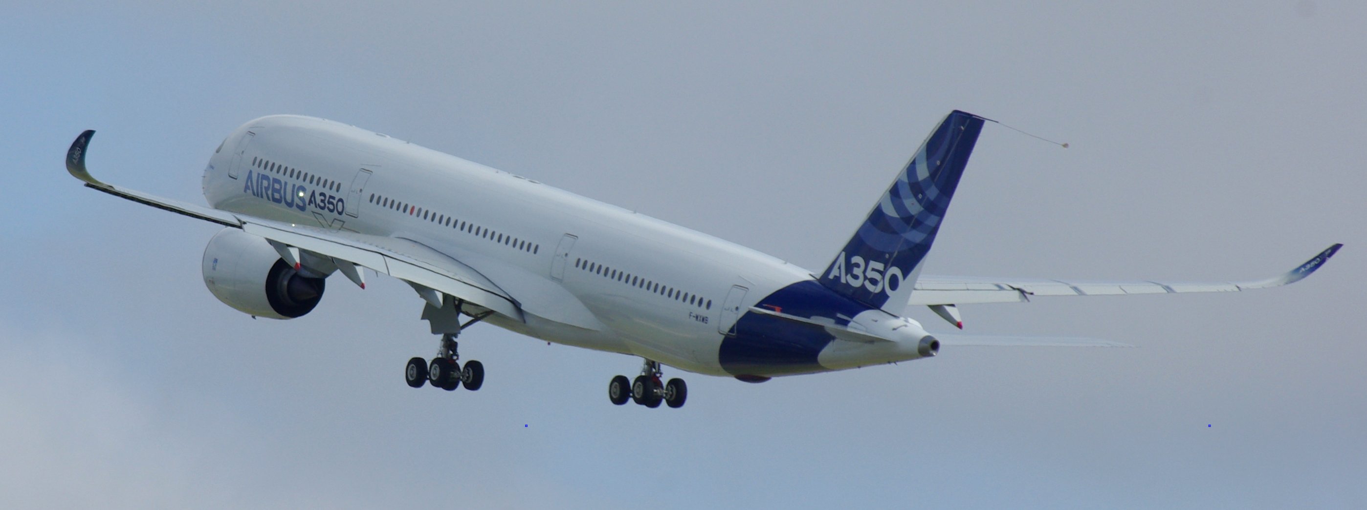 Flight Performance & Loads